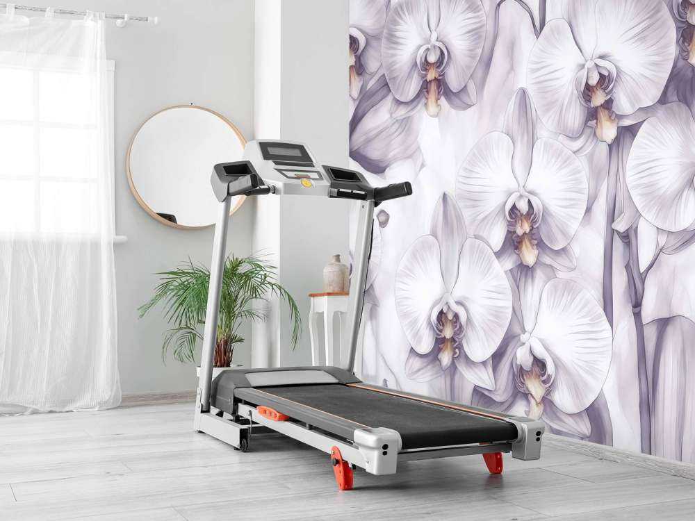 Orchideenparadies Lila