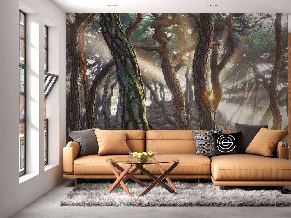 Sacred Pine Trees