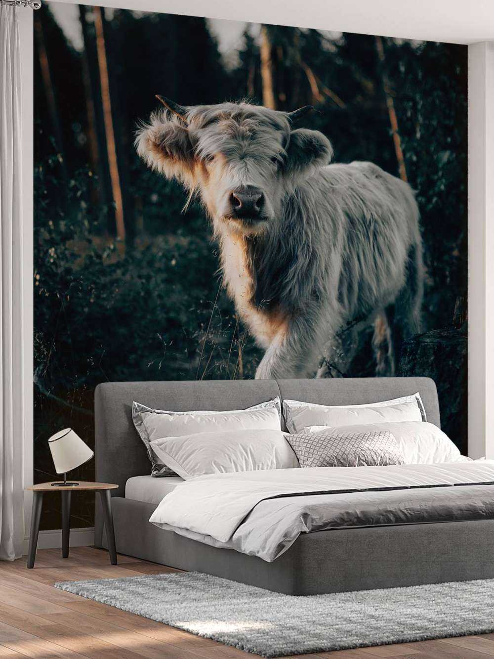 Schottischer Highlander-Welpe