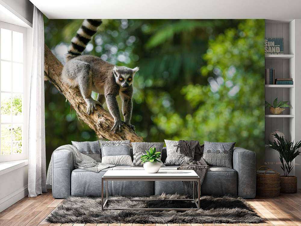 Ringelschwanzaffe in einem Baum