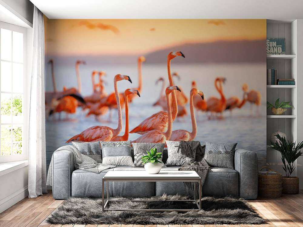 Glotzende Flamingos