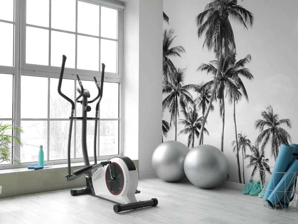 Palmen in Schwarz und Weiß