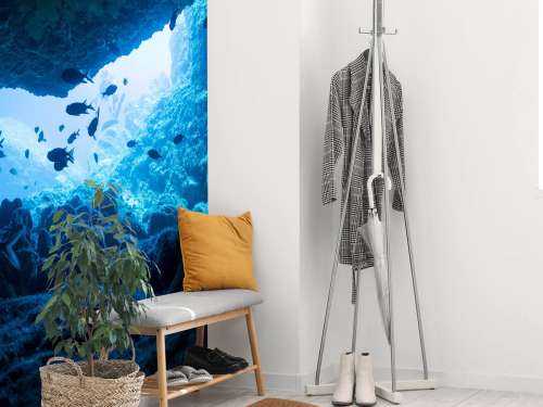 Enge Höhle mit Fischen