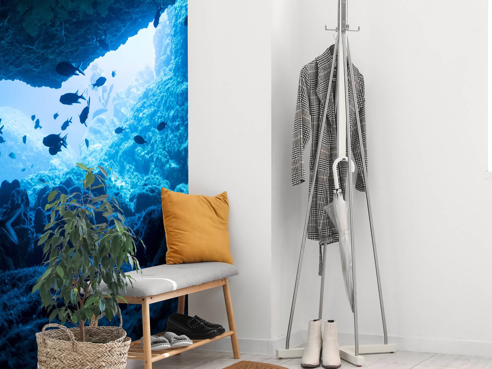 Enge Höhle mit Fischen