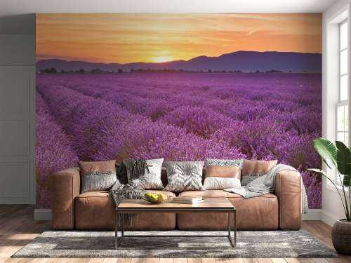 Feld voller Lavendel