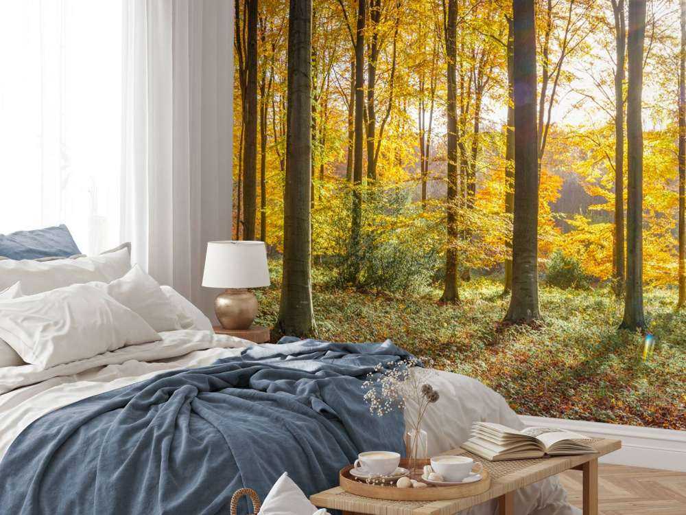Sonniger Herbsttag