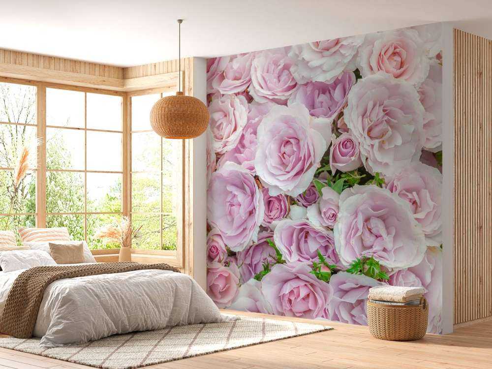 Bunte weiße und rosa Rosen
