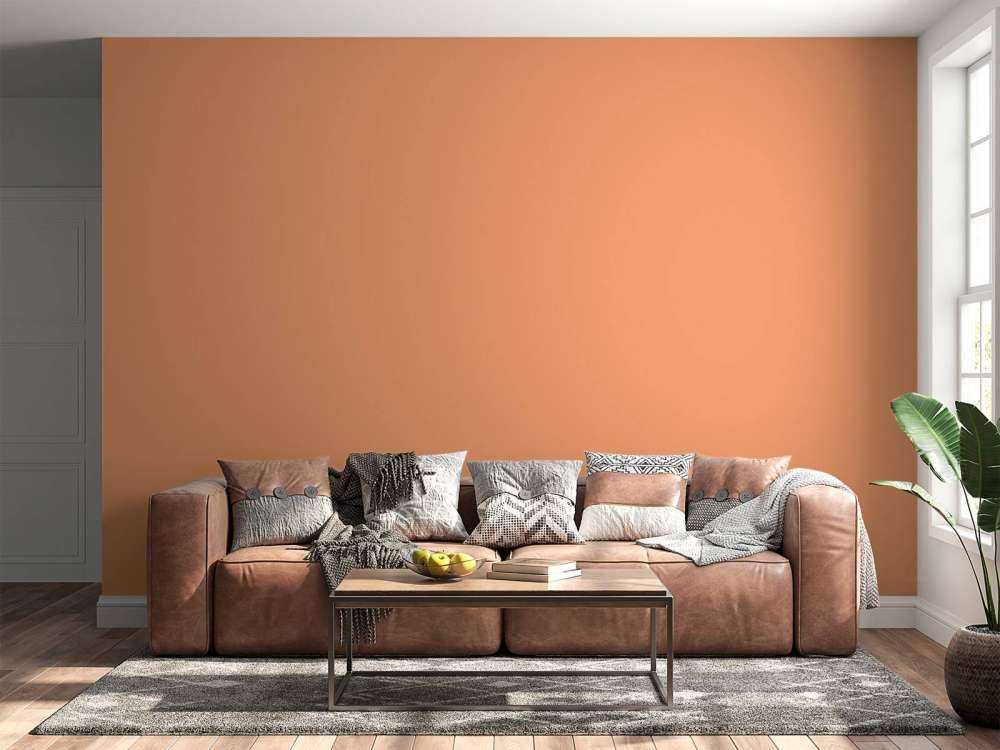 Rosa-orange