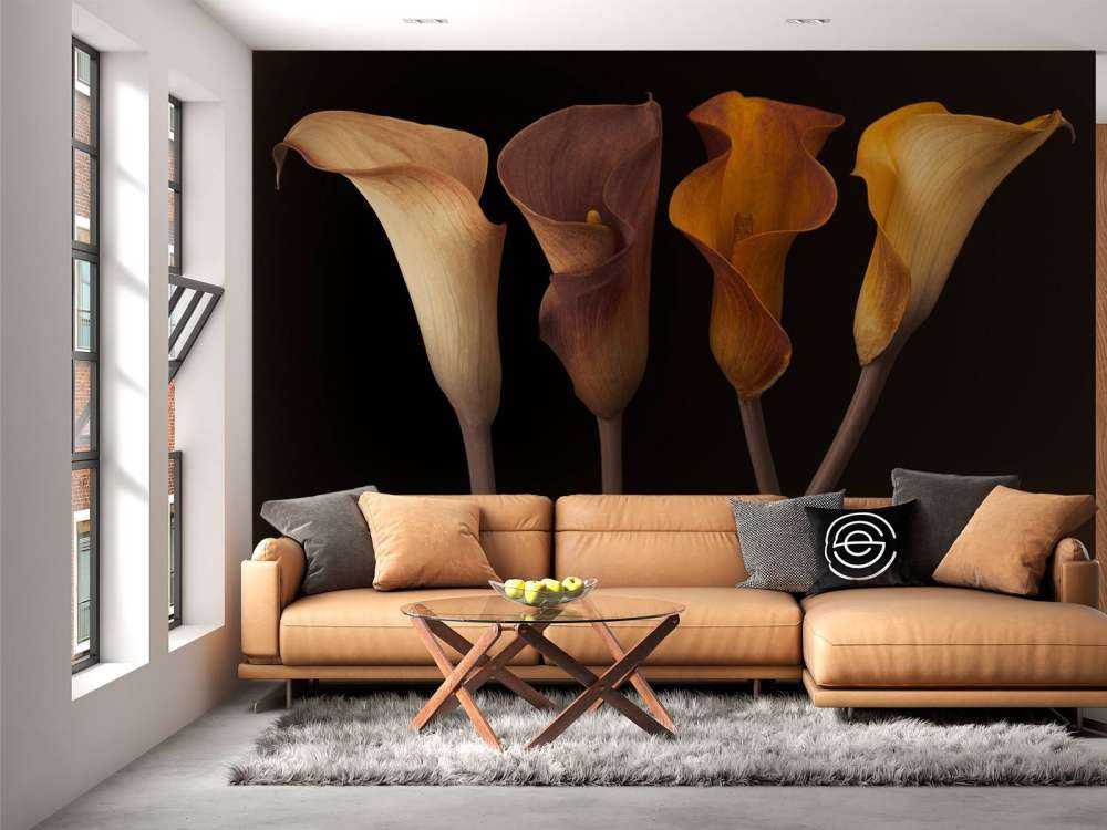Calla-Lilien