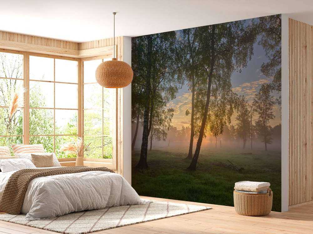 Sonnenaufgang bei den Birken