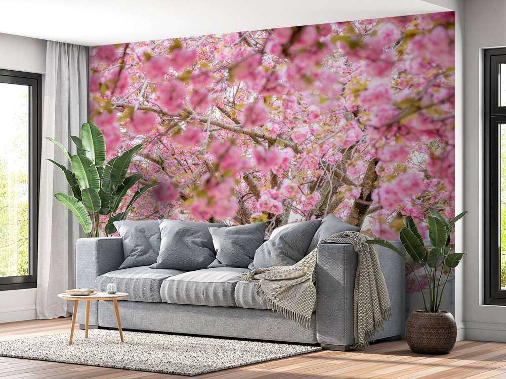 Blüte Baum