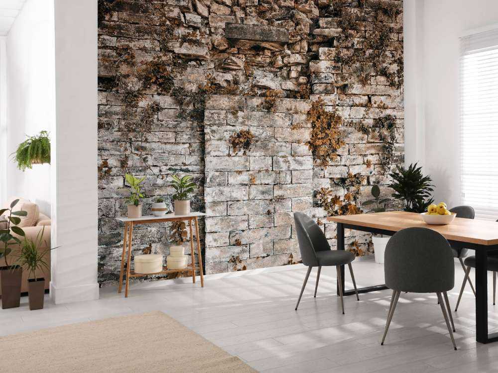 Begrünte Mauer im Herbst