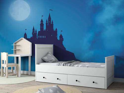 Schloss mit Mondlicht