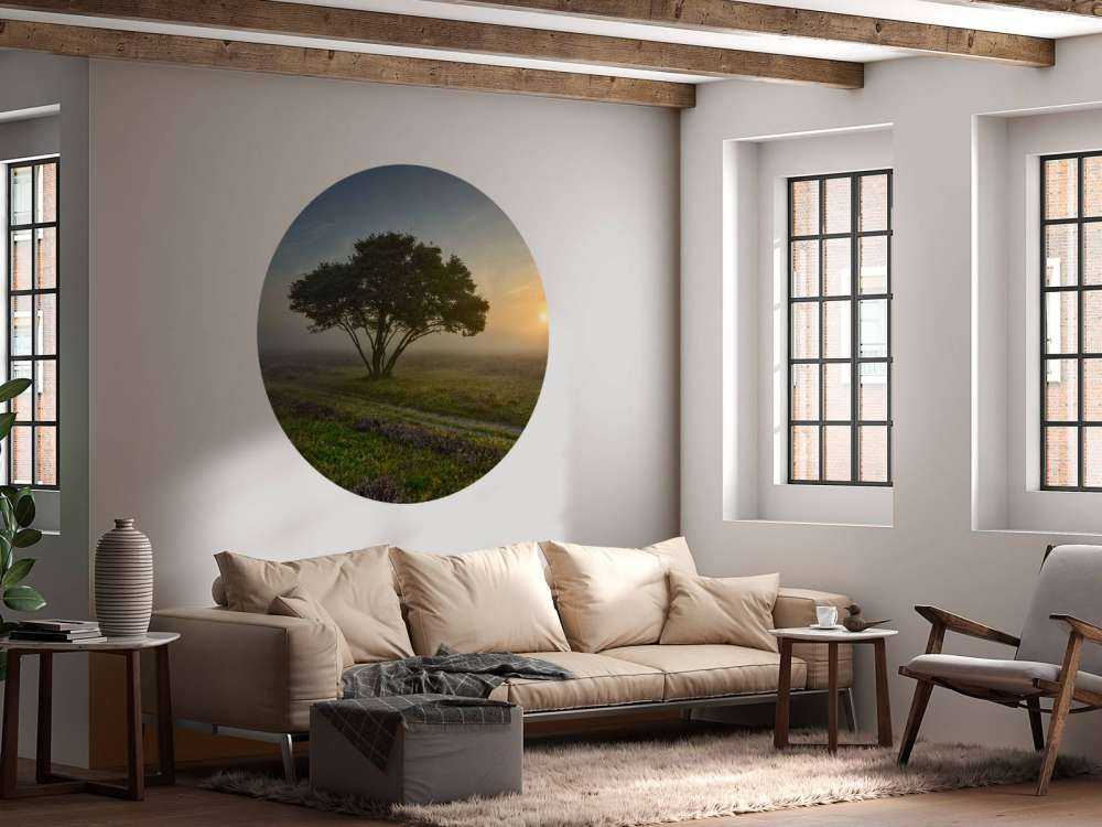 Sonnenaufgang in der Heidelandschaft