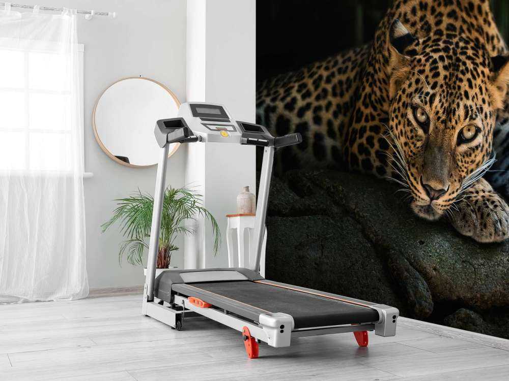 Panther im Wald