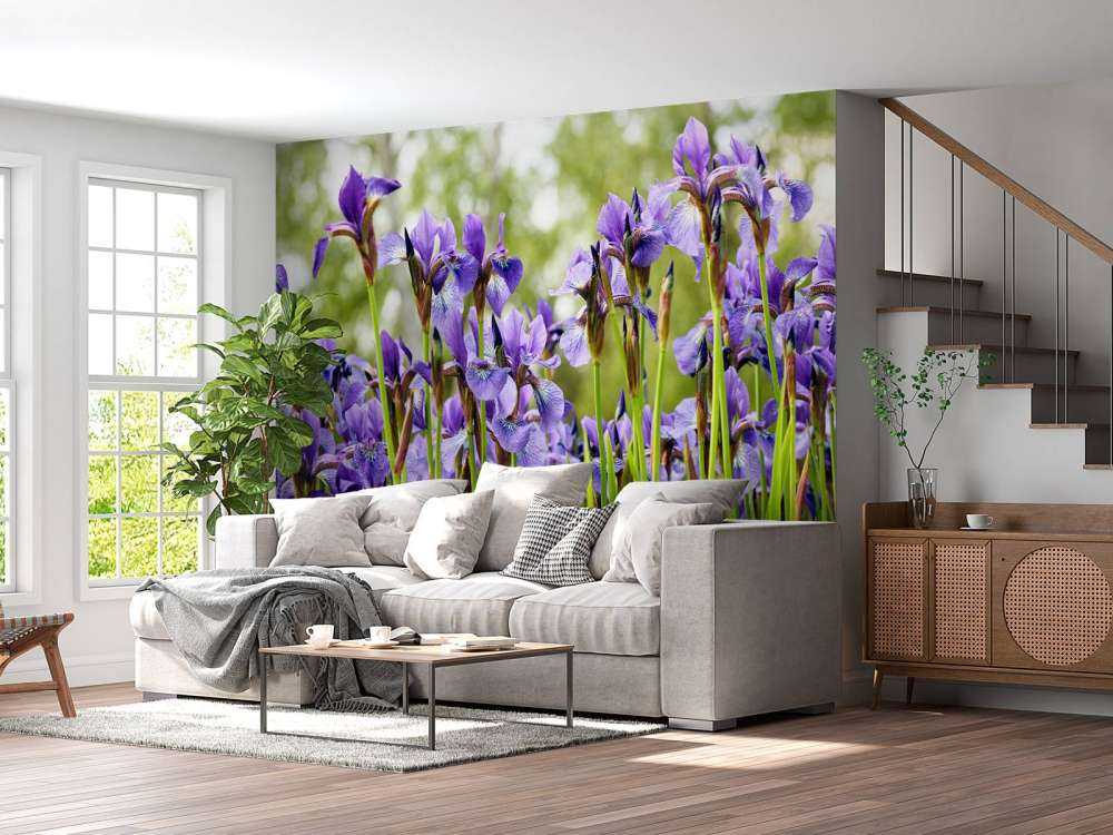 Iris