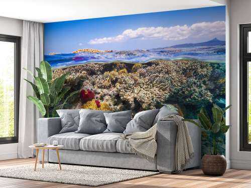 Mayotte : The Reef