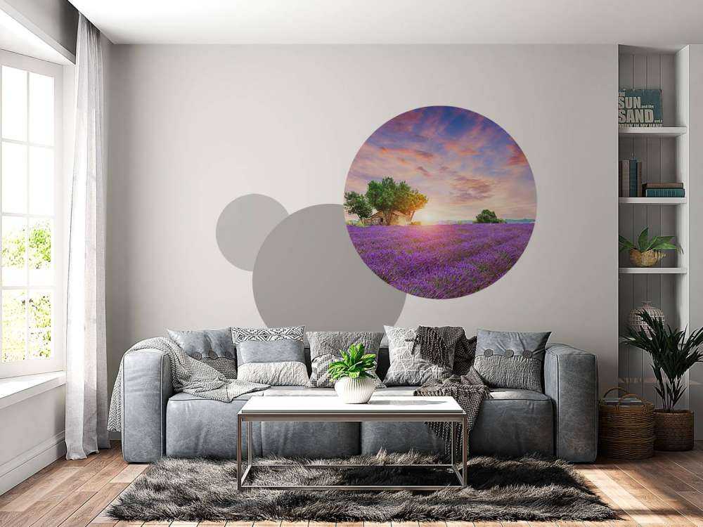 Lavendelfeld bei Sonnenaufgang