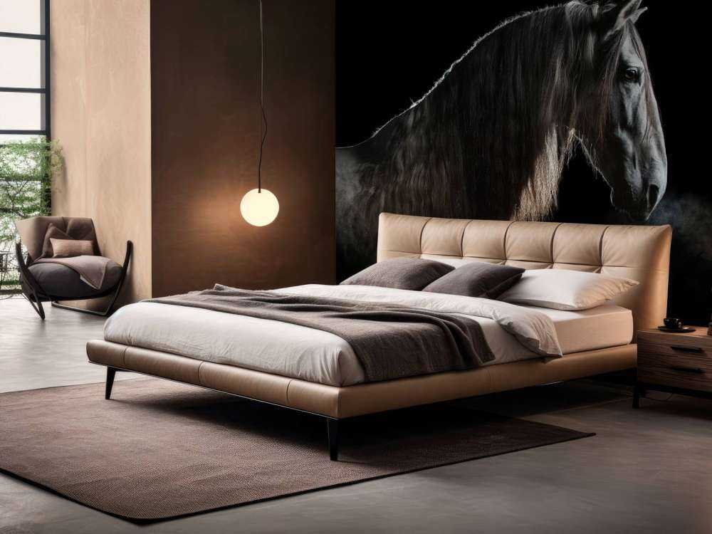 Schimmel mit schwarzem Hintergrund