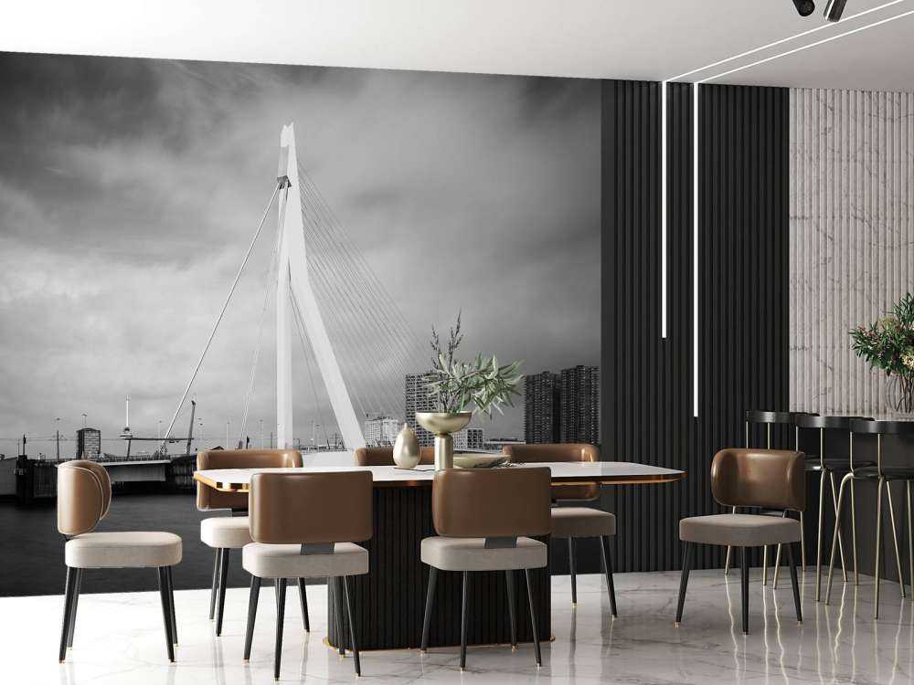 Erasmus Brücke Rotterdam