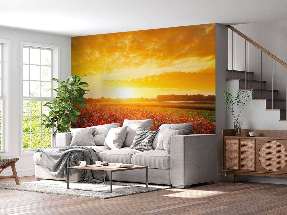 Mohnblumen und Sonnenuntergang