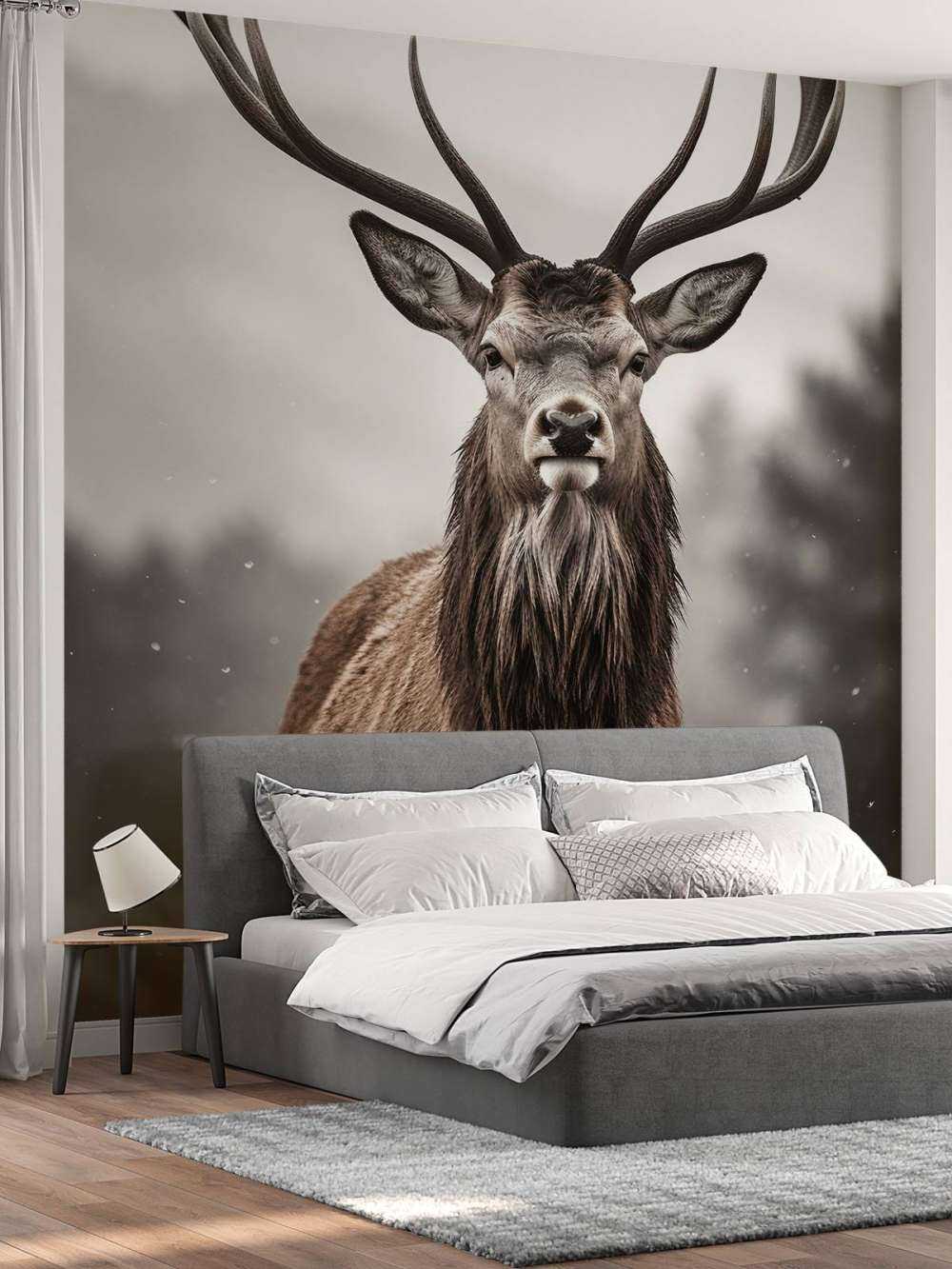 Winterkönig Hirschblick