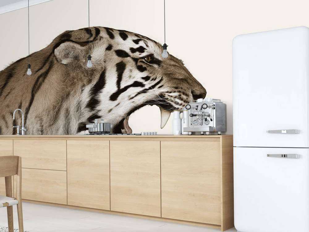 Brüllender Tiger cremefarben