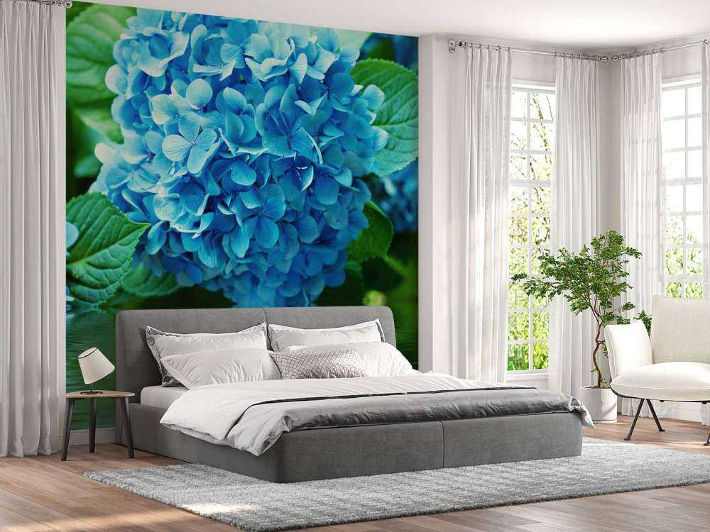 Hortensie im Wasser