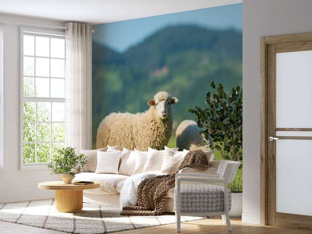 Zwei Schafe auf der Wiese