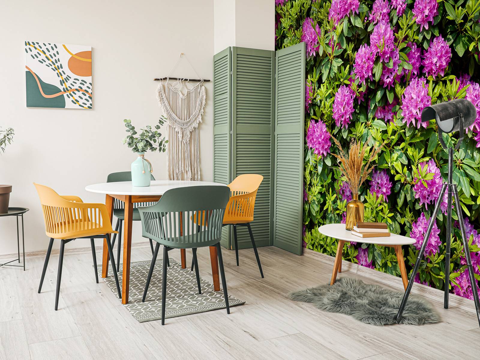 le sansevieria 10