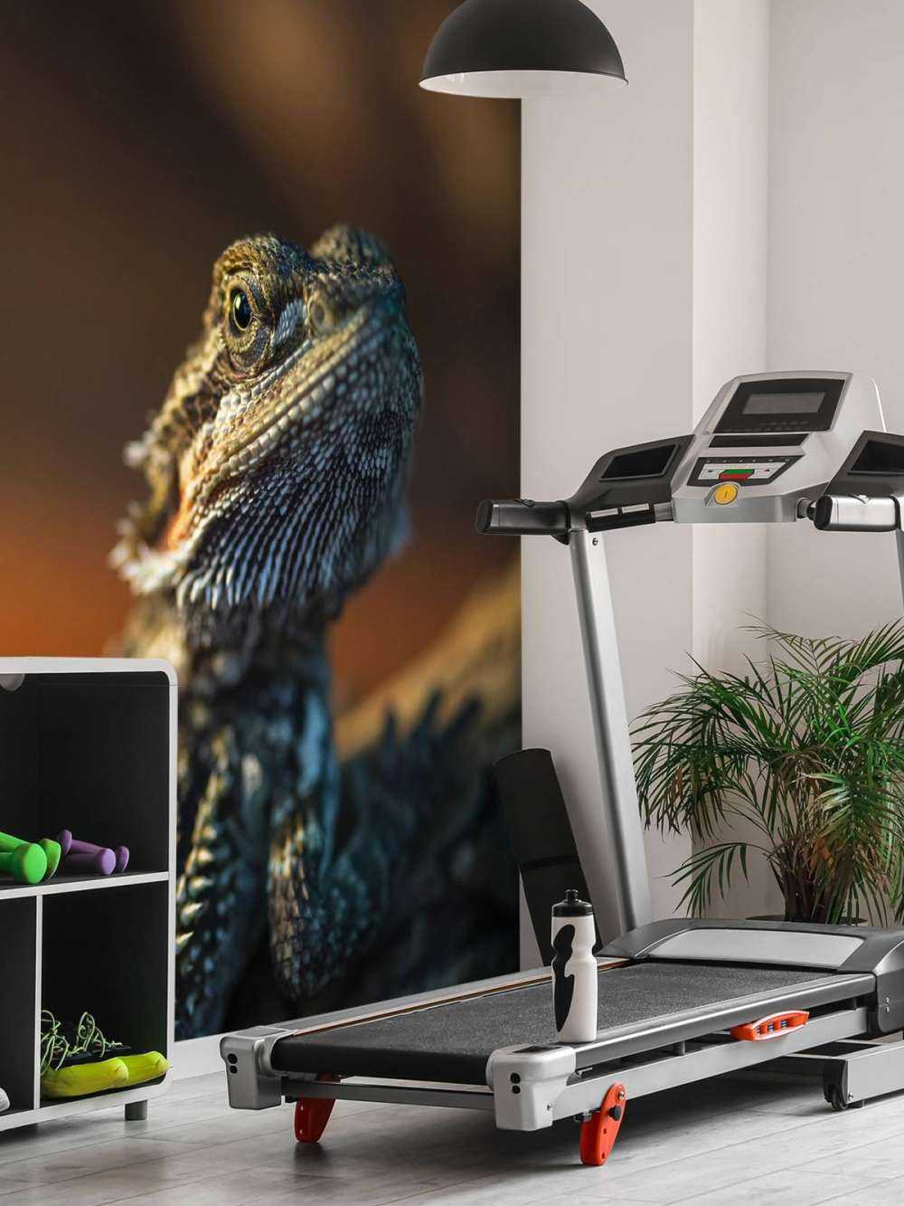 Nahaufnahme Chamäleon