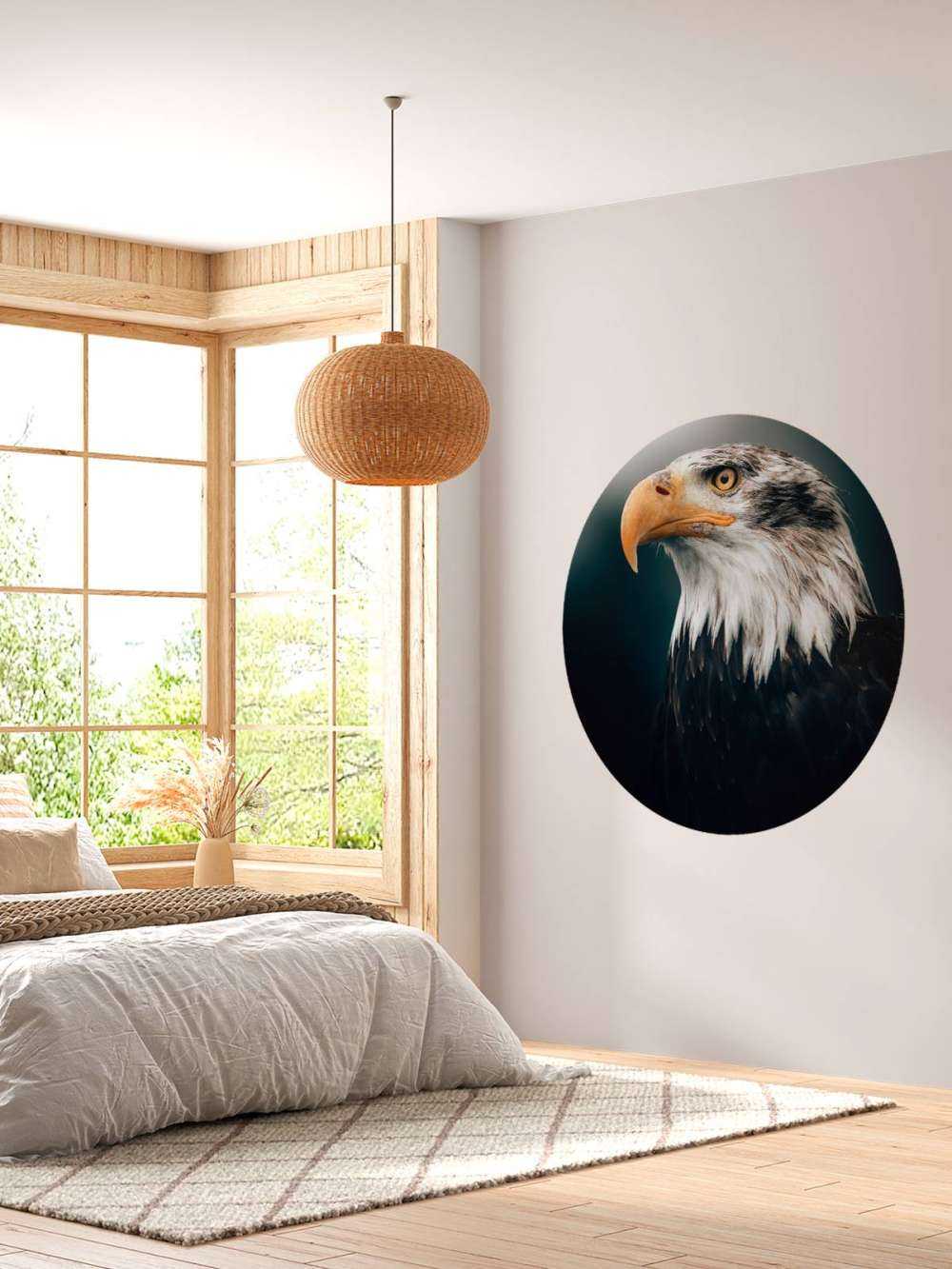 Nahaufnahme Seeadler