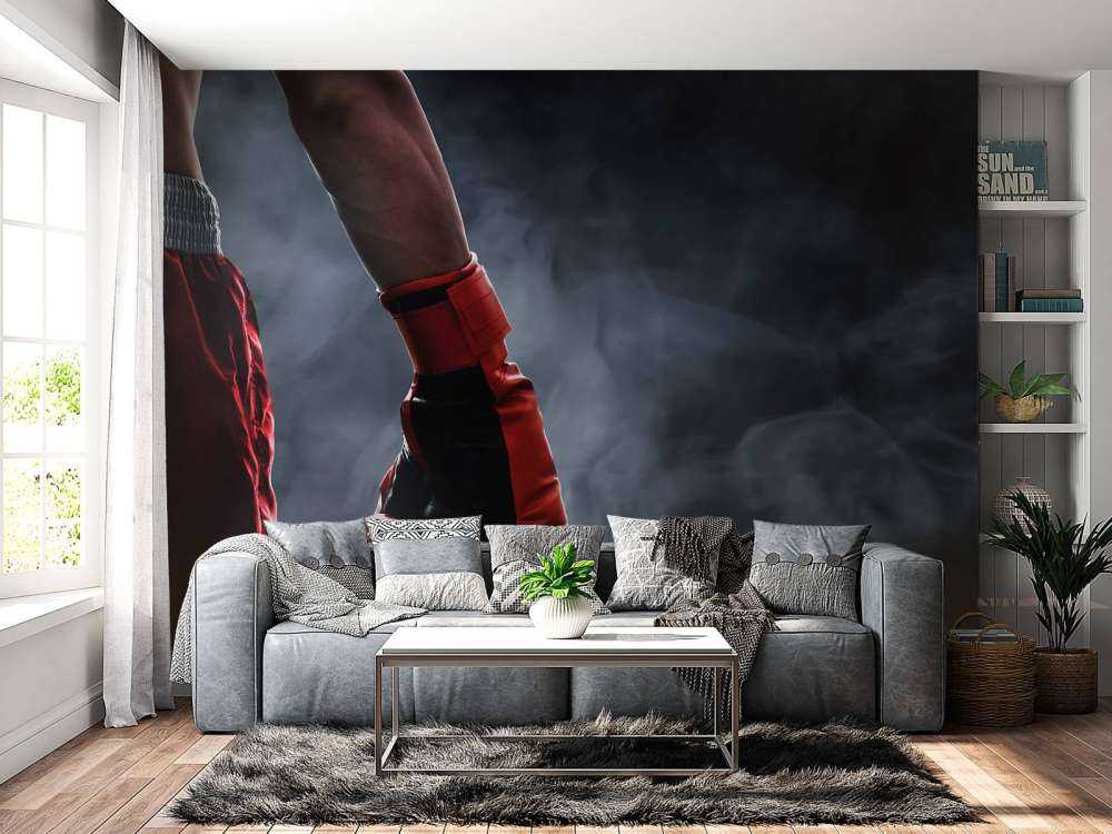 Boxer