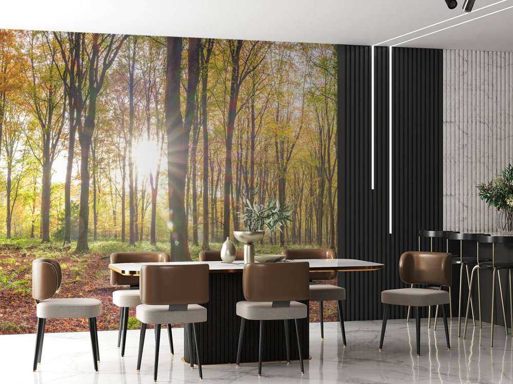 Sonnenlicht durch den Herbstwald