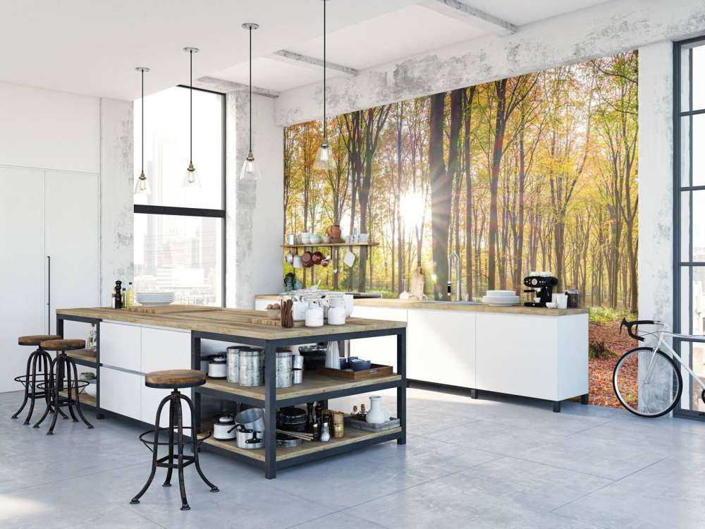 Sonnenlicht durch den Herbstwald