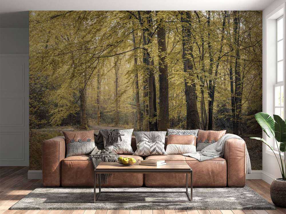 Pfad durch grünen Wald