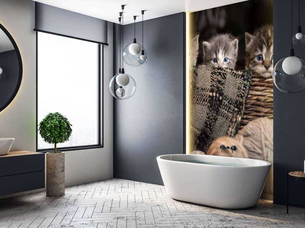 Drei Katzen in einem Korb