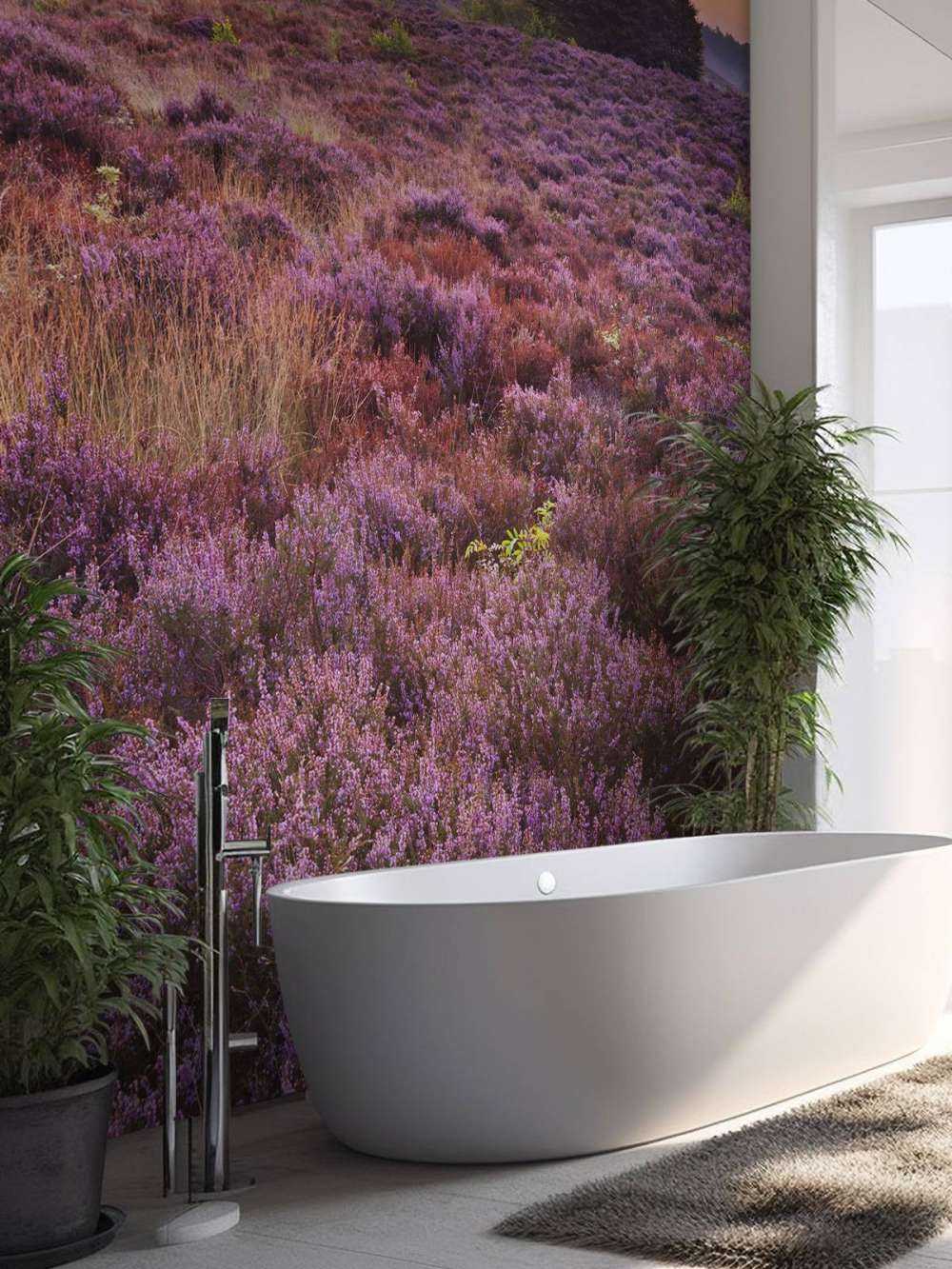 Posbank bei Sonnenuntergang