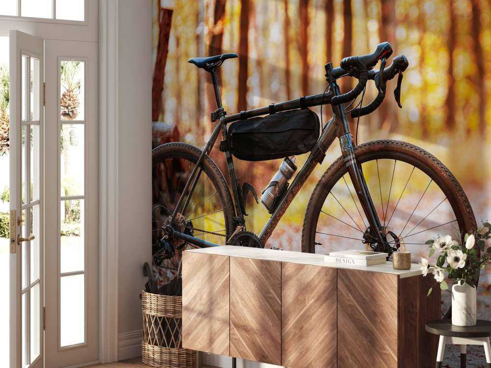 Fahrrad im Herbst