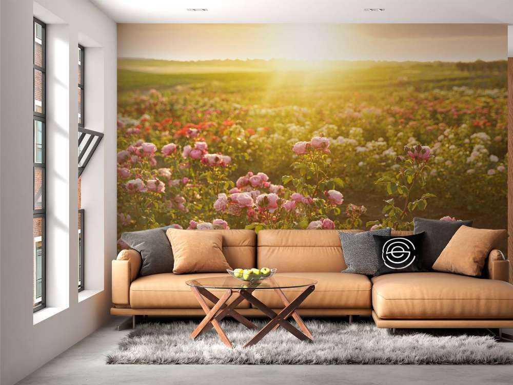 Feld voller Rosen