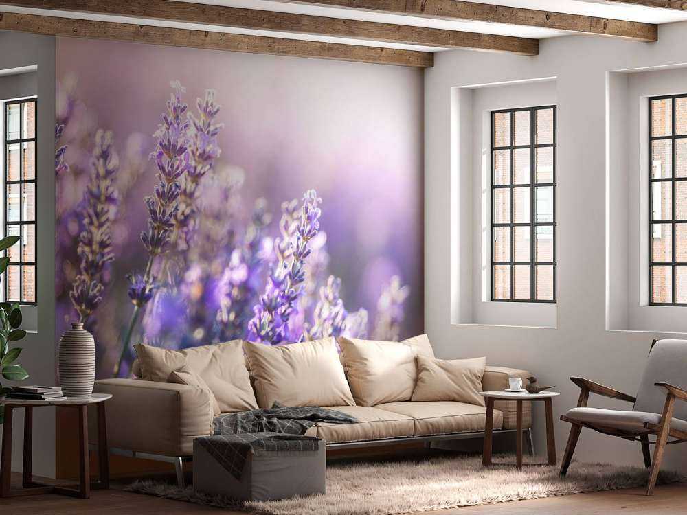 Verträumter Lavendel