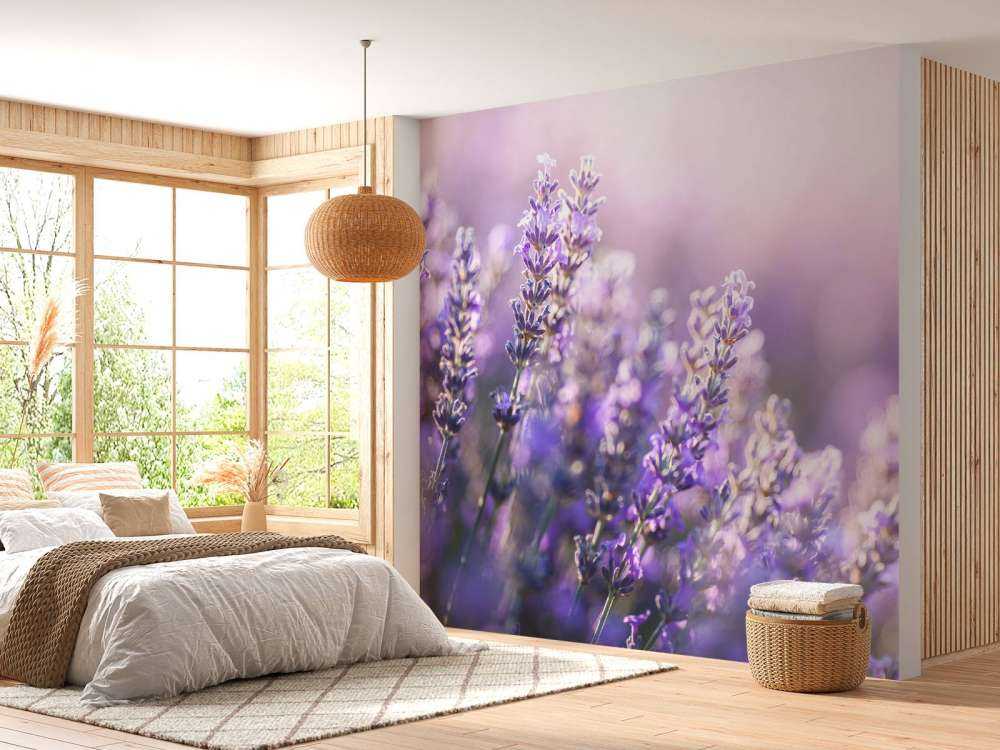 Verträumter Lavendel
