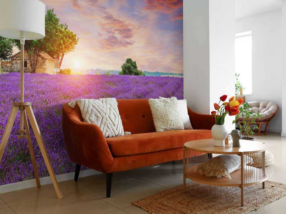 Lavendelfeld bei Sonnenaufgang