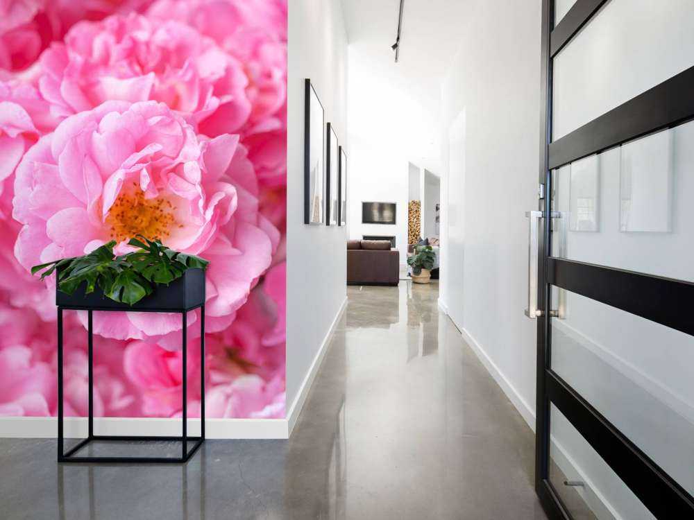 Mehrere rosa Rosen