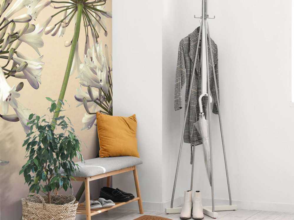 Afrikanische Lilien