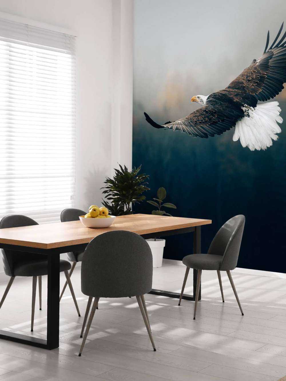 Weißkopfseeadler über dem Wald