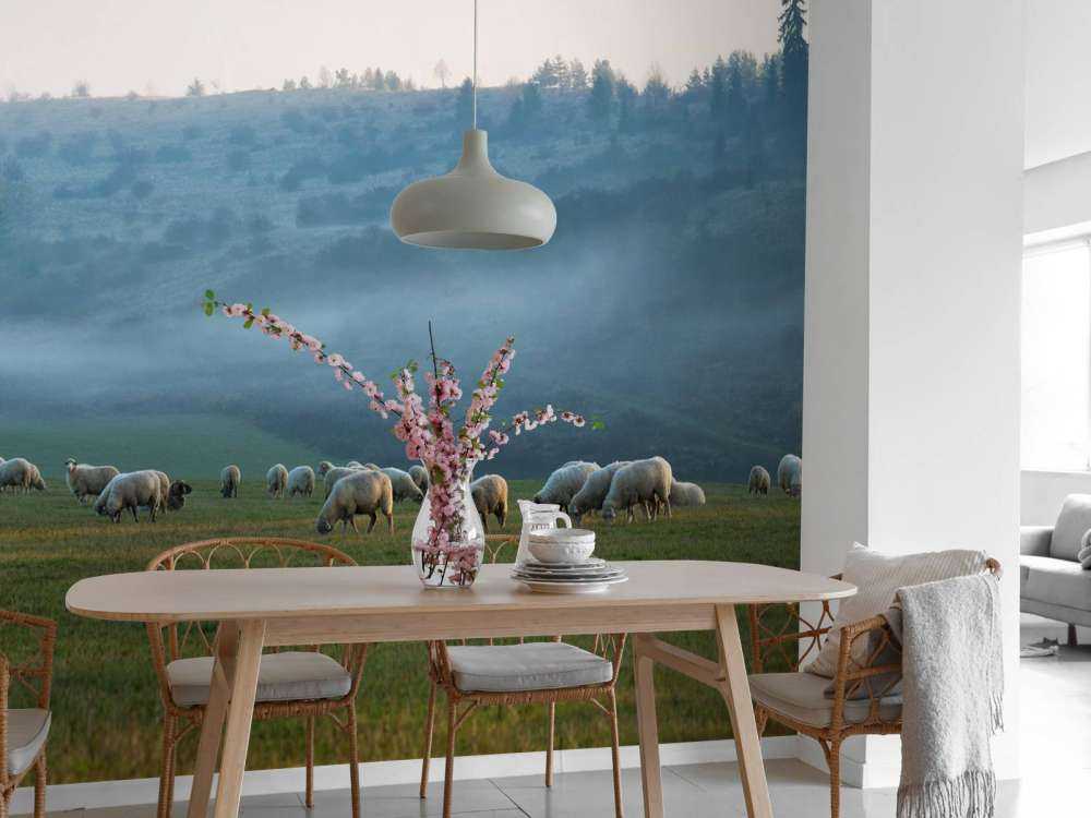 Schafherde mit nebliger Landschaft