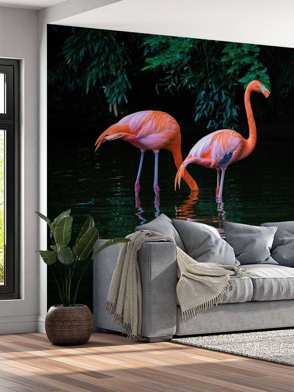 Karibische Flamingos