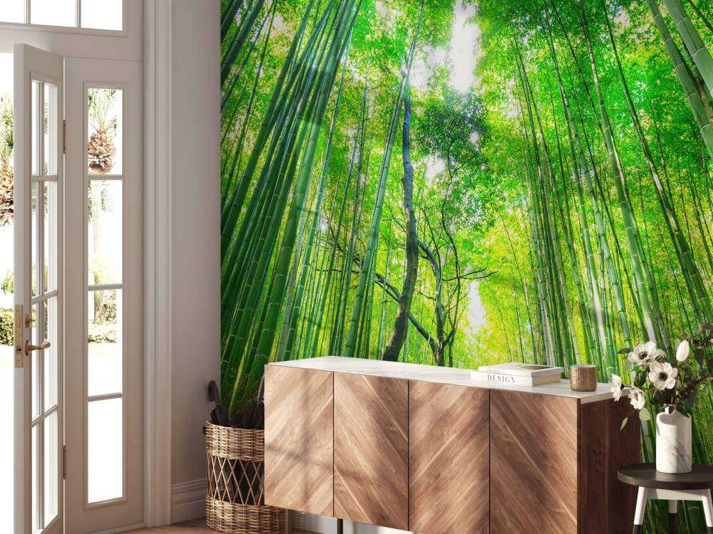 Bambuswald von Arashiyama