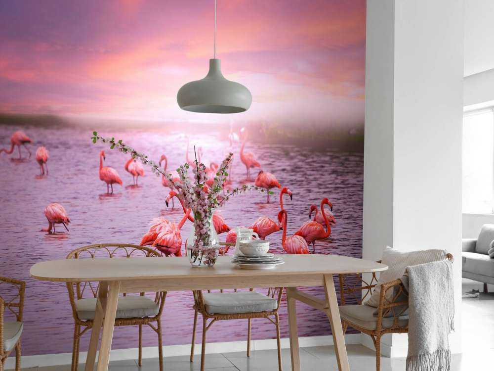 Flamingo mit Sonnenuntergang